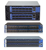 Mellanox Routers